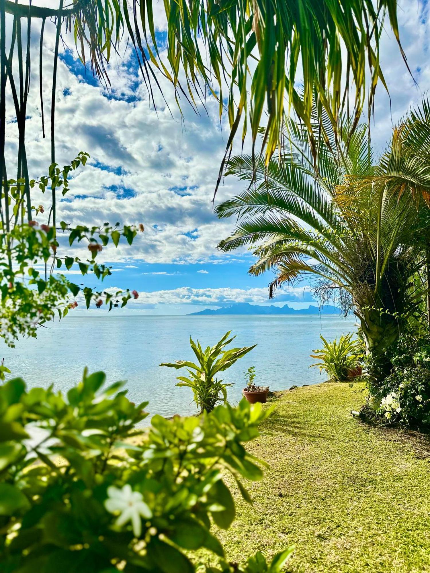 O'Coco Bungalow- Breathtaking Waterfront Views, Endless Memories Paea Kültér fotó