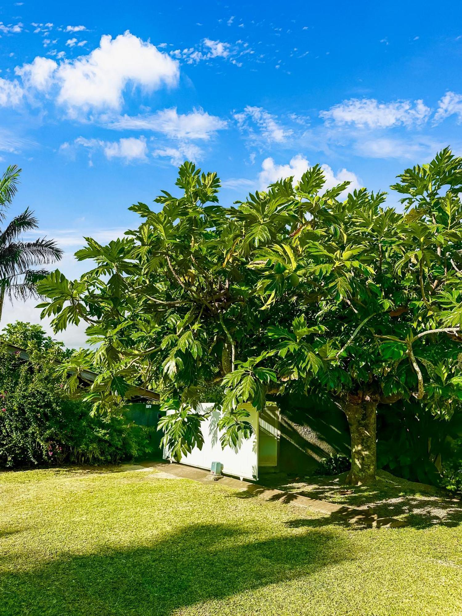 O'Coco Bungalow- Breathtaking Waterfront Views, Endless Memories Paea Kültér fotó